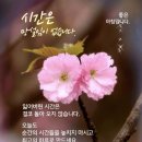 청명 이미지