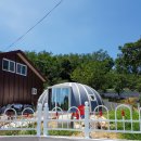 돔하우스 이미지