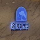 온동물병원 이미지