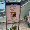 여의도 더현대서울 식집사에게 필요한 팝업스토어 : 선데이플래닛47
