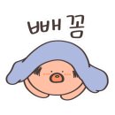 세인헤어 - 남구 문수로 396 | 세인헤어
