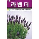 A0799 이미지