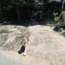 투데이여행사 - 2941 | 에버랜드 주토피아 동물원 4살 총총 2026년 6월 플랜잇3 방문 후기(입장권,주차, 큐패스 가격 예약팁○)