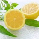 레몬헤어 이미지