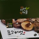 무등산버섯 이미지