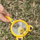 다사체육공원 Daum카페