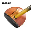 300골프 | 데이비드 감나무 프리미엄 파크골프채 DP300 남성용 후기｜가볍게 휘둘러도 방향성 안정적인 이유