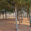 당동배수펌프장 이미지