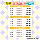 댕큐 애견유치원, 애견호텔 이미지