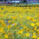 문화근린공원 인조잔디구장 이미지