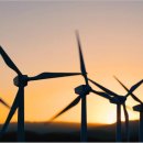 자연알로(성남) 이미지