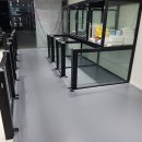 도그어게인 이미지