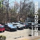 갈산농장 | 2026년 봄 축제 4월 5월 전국 꽃구경 가볼만한곳 주차 및 꿀팁 총정리 후기