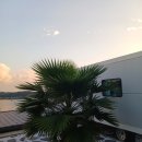 설리와카라반펜션 | 남해 숙박 탁트인 오션뷰를 바라보며 수영하기 좋은 곳 설리와카라반