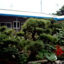 우림장민박 이미지