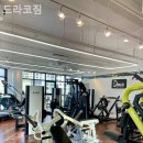 드라코짐 이미지