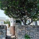 스테이 서로 이미지