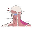 효암한의원 이미지