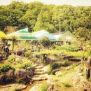 식물원사거리 이미지