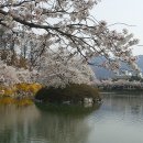 기경은