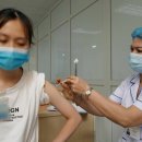 베트남 국산 백신 'Nanocovax' 제 3상 임상 시험에서 1만 3천 명 1 차 접종 완료 이미지