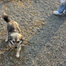 상평까페 이미지