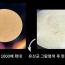 충북화원 이미지