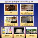(주)레이지독 이미지