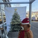 3115 | 경기 광주 곤지암 짬뽕 맛집 아이성 곤지암점 후기