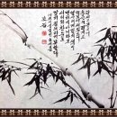 우죽 이미지