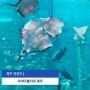 ㈜티지전기차 | 아쿠아플라넷 제주 오션아레나 후기 제주도 아이랑 26개월