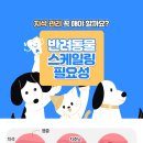 건강하게 동물병원 이미지