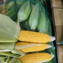 초당B급 5kg 8천원입니다. 이미지