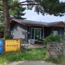 제로오클락 민박 | 신혼여행 제주 애월 숙소 ) 소길리 감성민박 독채펜션 제로어클락 !