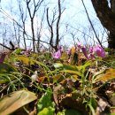 사전2리 경로당 이미지