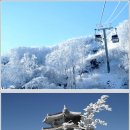겨울]덕유산 향적봉 곤도라(눈꽃)/머루와인 기차여행 이미지