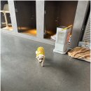 휘게 펫케어 네이버블로그
