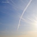 사철농장 이미지