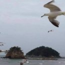 머물다 이미지