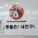 보경동물병원 네이버블로그