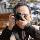 푸른노을 이미지