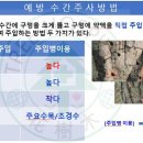 소나무병원 이미지