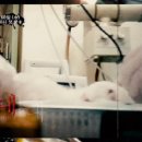 세븐동물병원 이미지