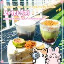 몽글몽글애견카페 | 해운대달맞이카페 모어라운지 탁 트인 오션뷰 애견동반가능카페 후기