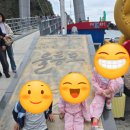 이레마트 | 울릉도 여행, 울릉도 여행코스 이레집밥 돌아오는 길 묵호항 후기