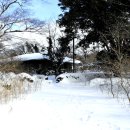 교래자연휴양림야영장 이미지