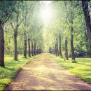 그린치과 이미지