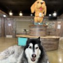 포포앤미루 강동점 이미지