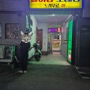 글래머노래빠