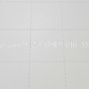 피엠에스